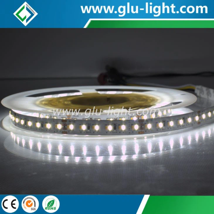 High brightness high density dot free 10mm CCT dimmable 3014 240leds/m led strip